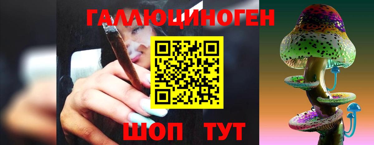 Галлюциногенные грибы Cubensis Нефтекумск