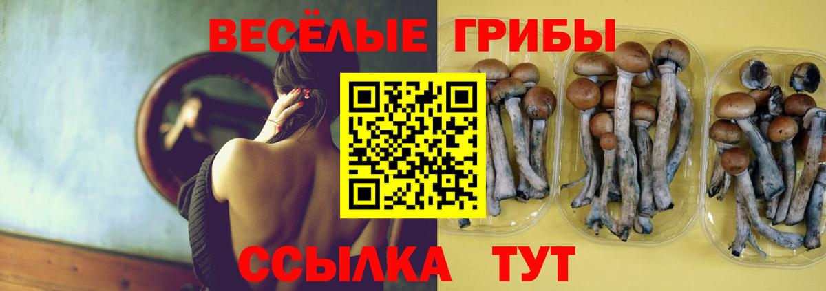 Галлюциногенные грибы MAGIC MUSHROOMS  Галлюциногенные грибы ЛСД  Вход с VPN  Нефтекумск 